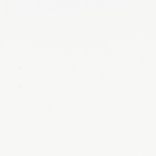 extra white paint swatch